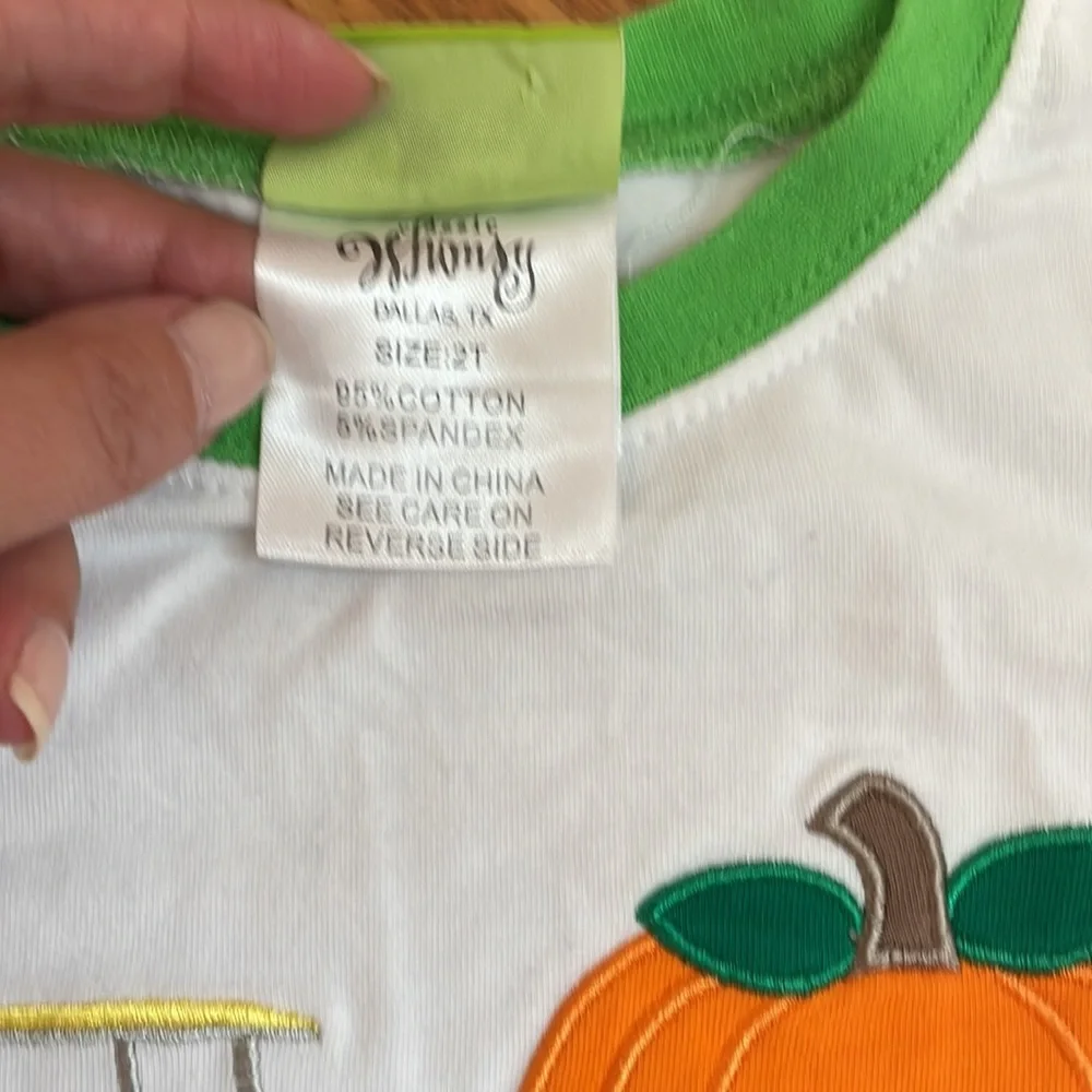 Classic Whimsy boys Pumpkin / fall pajama set. - Picture 3 of 6